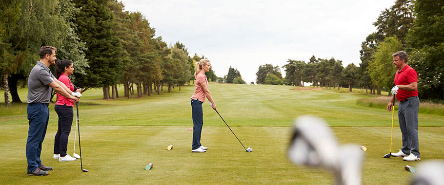 Billede af drueagurker - dekorativt billede