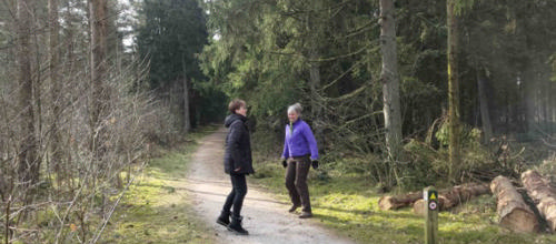 Sundhedsuge med dans, skov og sjov