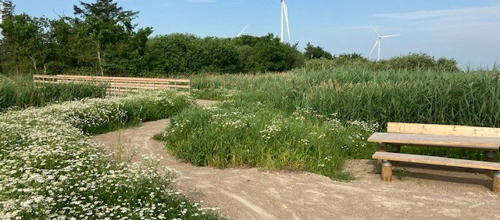 LAG sikrer udvikling i landdistrikterne – nu er der plads i den nye bestyrelse