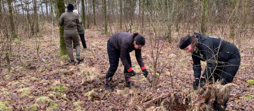 Samarbejde på tværs af interesser skaber ridesti og fælles forståelse i Faster Plantage