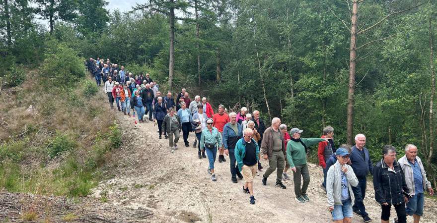 Søndagsaktivitet i Ejstrup Søerne juli 2024