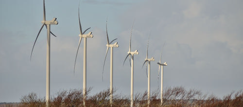 Ambitiøs klimapolitik i Naturens Rige