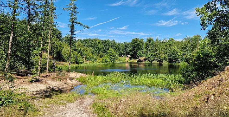 Ringkøbing Fjord Museer