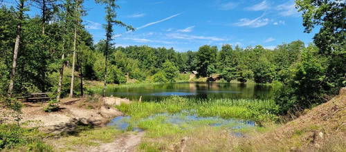 Ringkøbing Fjord Museer