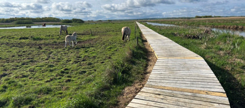 Foto: Poul Gregersen