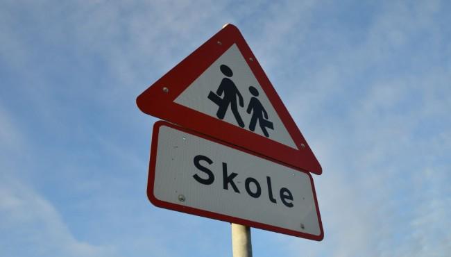 Skolebus kørte i grøften – ingen kom alvorligt til skade  