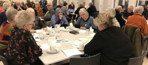 arbejdet med seniorpolitikken, jan 2018