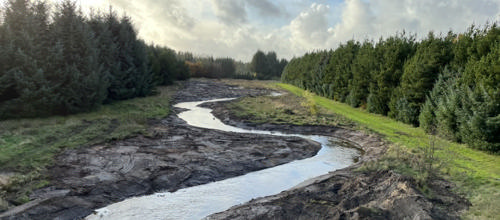 Foto Per Søby Jensen, KNF