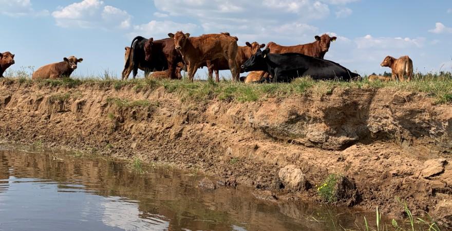 1.600 lodsejere får nu brev fra Den Lokale Trepart