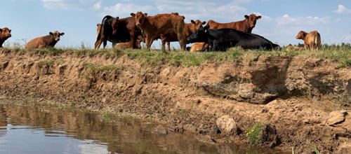 1.600 lodsejere får nu brev fra Den Lokale Trepart