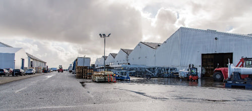 Foto: Søren Palmelund