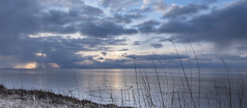 Skyfish (ingen fotograf nævnt)