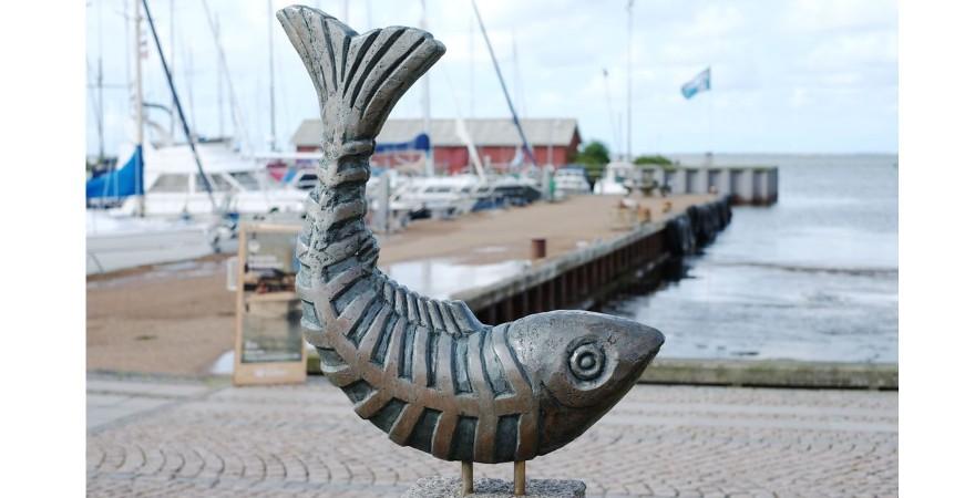 Skyfish