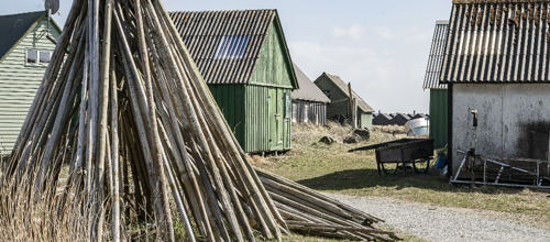 Foto: Søren Palmelund