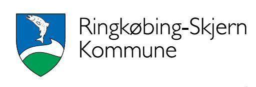 Ringkøbing-Skjern Kommune undskylder databrud