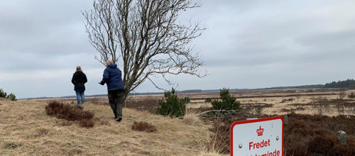 Søren Frederiksen og Marlene Engelhardt Sjögren på Borris Hede. Foto Merete Jensen