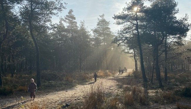 Foto: Poul Gregersen