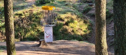 Foto fra Karsten Iversen, Disc Golf-vest