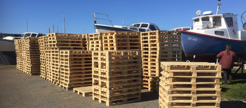 Paller til insekthoteller