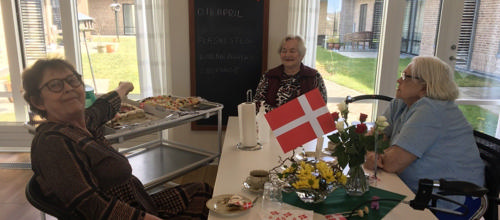 Foto fra Fjordparken i Ringkøbing, der har sikret tilladelse til, at vi bruger det.