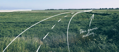 Fotomanipulation: Nanna Resen Westen, LBK