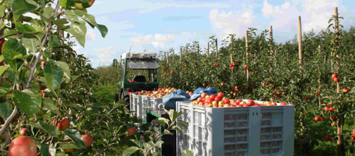 Foto fra Kulinarisk Vestjylland