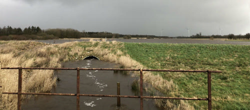 Foto: Per Søby, LBK