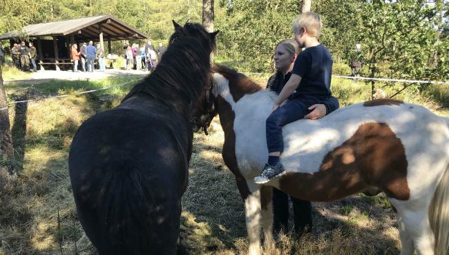 Nikoline Holmgaard har mundtligt givet samtykke til brug af foto. Merete Jensen