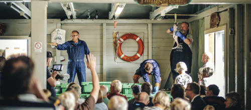 Skyfish - Vestkystens content pool