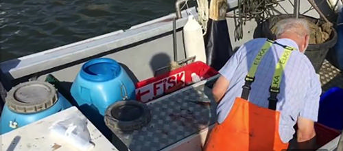 Forsidebillede af Asta Poulsens første videofilm som lokal videoambassadør