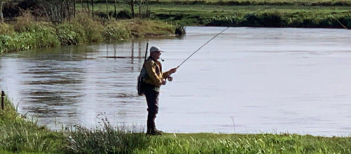 Fisker Bent Ole Søndergaard v Skjern Å, foto Merete Jensen