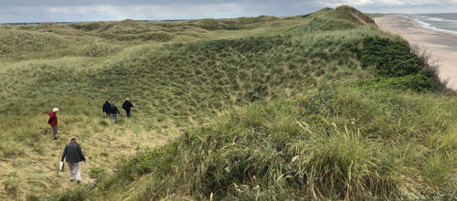 Skyfish - Vestkystens content pool