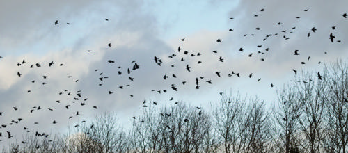 Landdistriktsrådet tager igen på turne