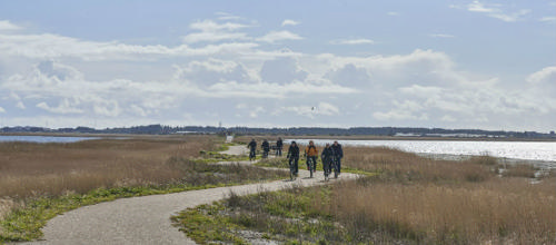 Fællesskaber gør det sjovt at være sund