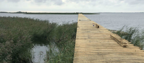 Nu åbner Hindø-broen