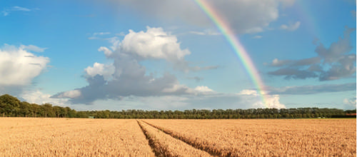 Har du en god idé, så har LAG 3 mio kroner