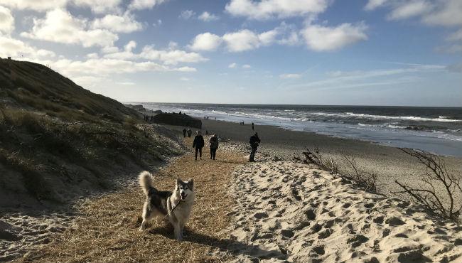 Stranden v Søndervig