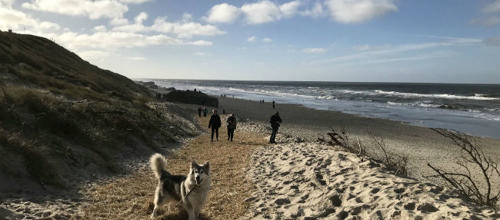 Stranden v Søndervig