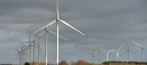 Naturens Rige er stadig førende på vindkraft