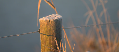 Åbent landsbykontor i Fjelstervang