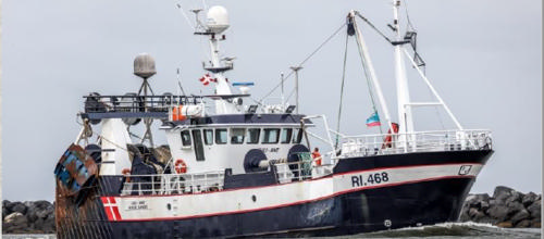 På fisketur efter opbakning til lokale råvarer