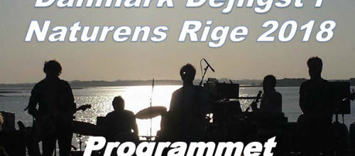 Minifolkemøde i Danmarks største baghave