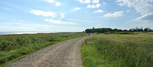 Web-app giver overblik over stier i naturen