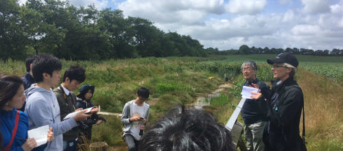 Hele verden vil lære om landbrug i Ringkøbing-Skjern