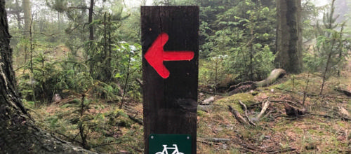 Nye stier i Snogdal Plantage