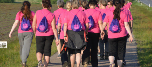 Rekordmange kvinder vil gå Ladywalk