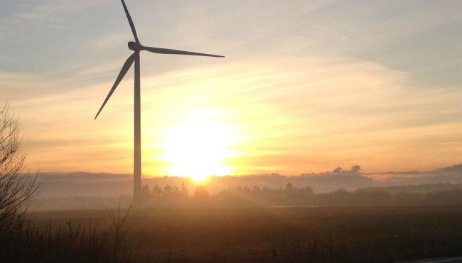 Naturens Rige vinder hurtigst frem på vedvarende energi