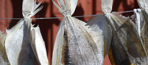 Gastroturisme vinder frem – også i Vestjylland