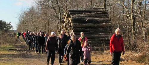 Flere kræfter til at arrangere og bakke op om lokale arrangementer er en af fordelene ved landsbyklynger.