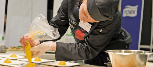 Ringkøbing-Skjern inviterer skoleelever til DM i Skills i Herning